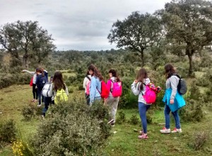 Excursión del campamento Base Camp