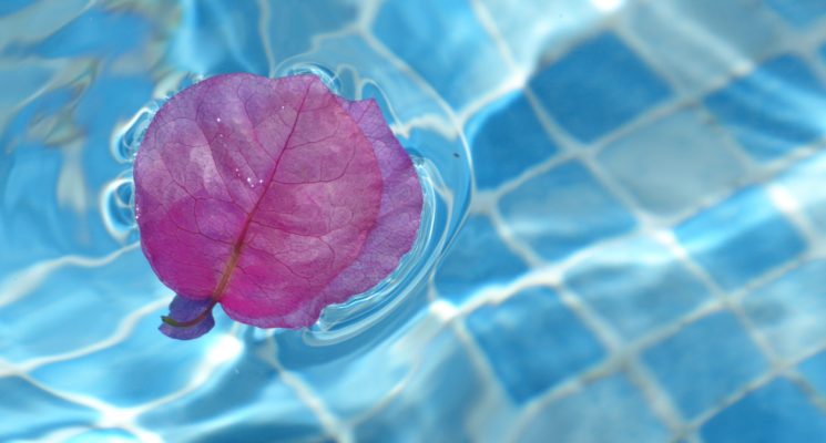 Blog LedesmaSana «Peso&Salud» (IV): Infección y obesidad, ‘malas influencias’