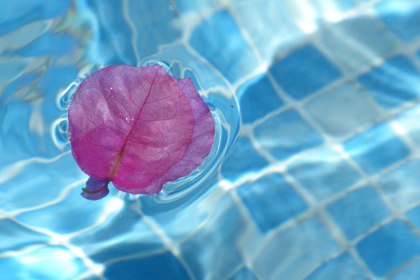 Blog LedesmaSana «Peso&Salud» (IV): Infección y obesidad, ‘malas influencias’